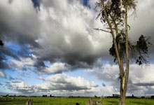 达苏恐袭调查进入最后阶段 巴方有何表示？